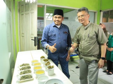 Tuhu Bangun Puji Citarasa Green Tea Pabrik Teh Gunung Dempo