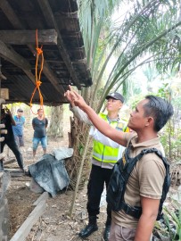 Murni Tewas Gantung Diri di Kandang Sapi