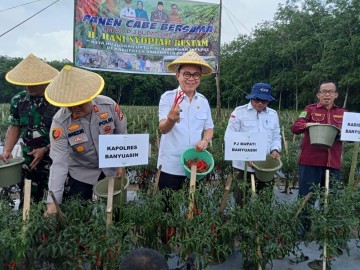 Kendalikan Inflasi, Pj Bupati Banyuasin Panen Cabe dan Tanam Bawang di Desa Tirto Sari
