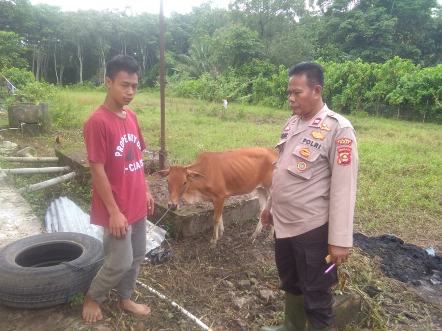 Cegah Kamtibmas, Kapolsek Tanah Abang Ajak Peternak Titipkan Hewan Peliharaan ke Halaman Mapolsek Tanah Abang