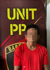 Penyadap Karet Diduga Cabuli Tetangga